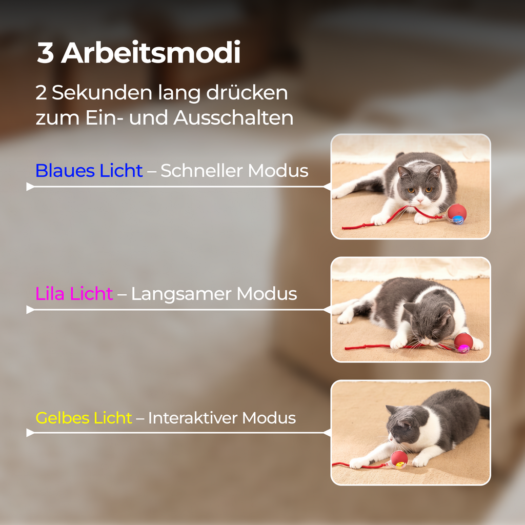 Selbstspielender rollender Katzenball