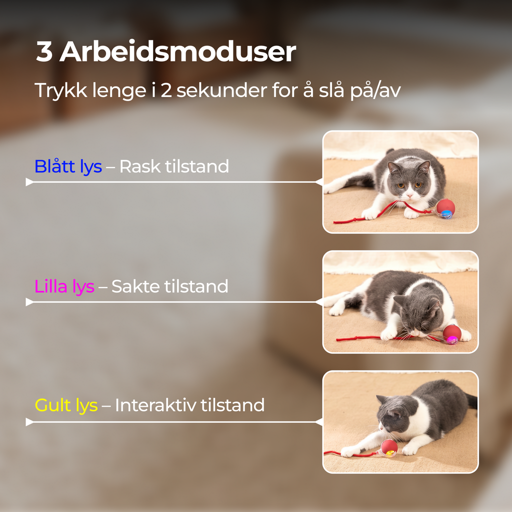 Selvspillende rullende katteleke (ball)