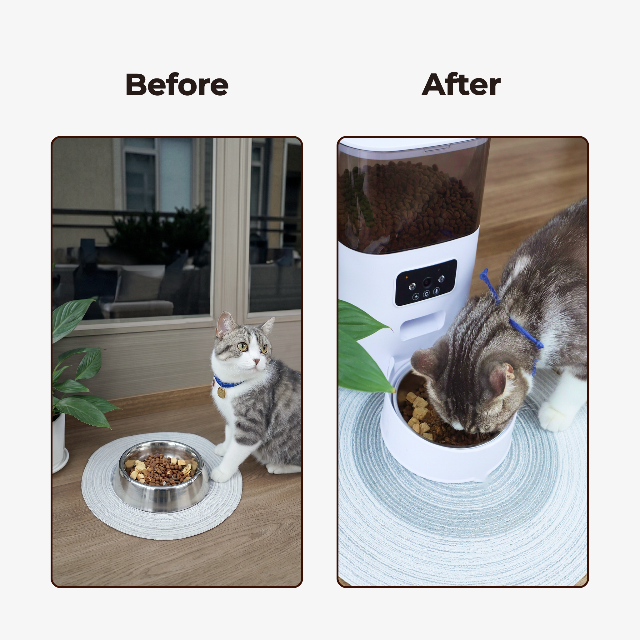 5L Automatic Pet Feeder with Camera