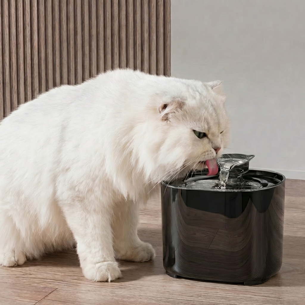 Pet Water Fountain