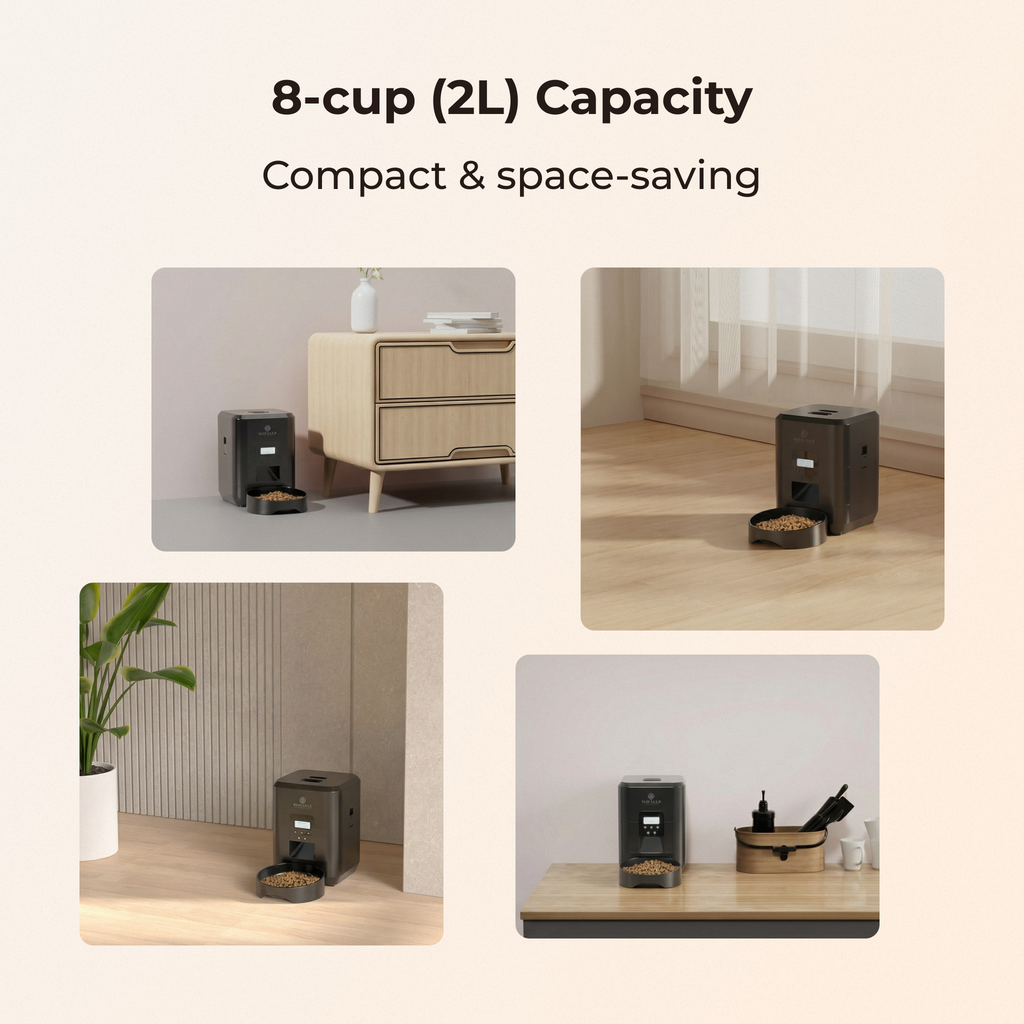Automatic Pet Feeder