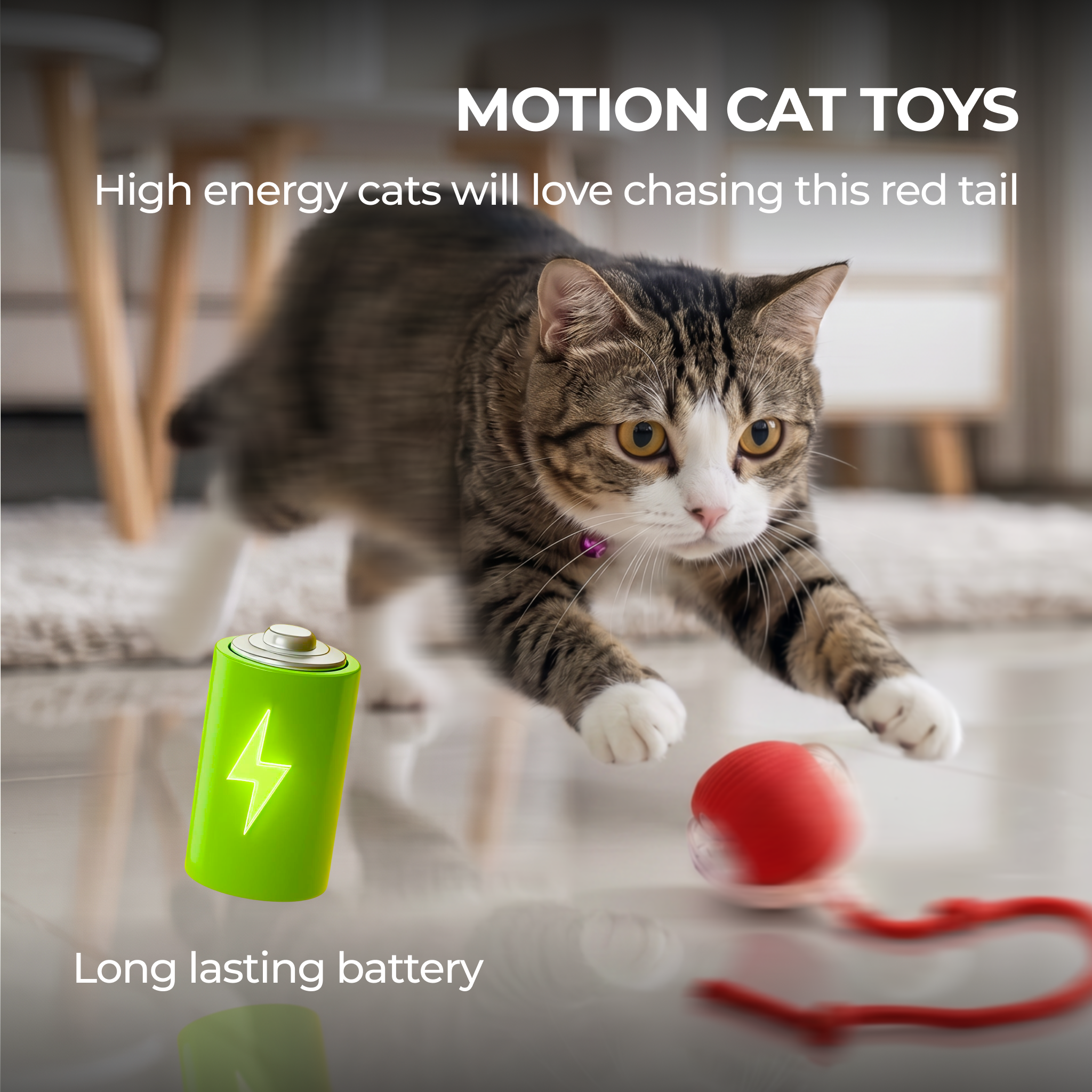 Self-Playing Rolling Cat Ball