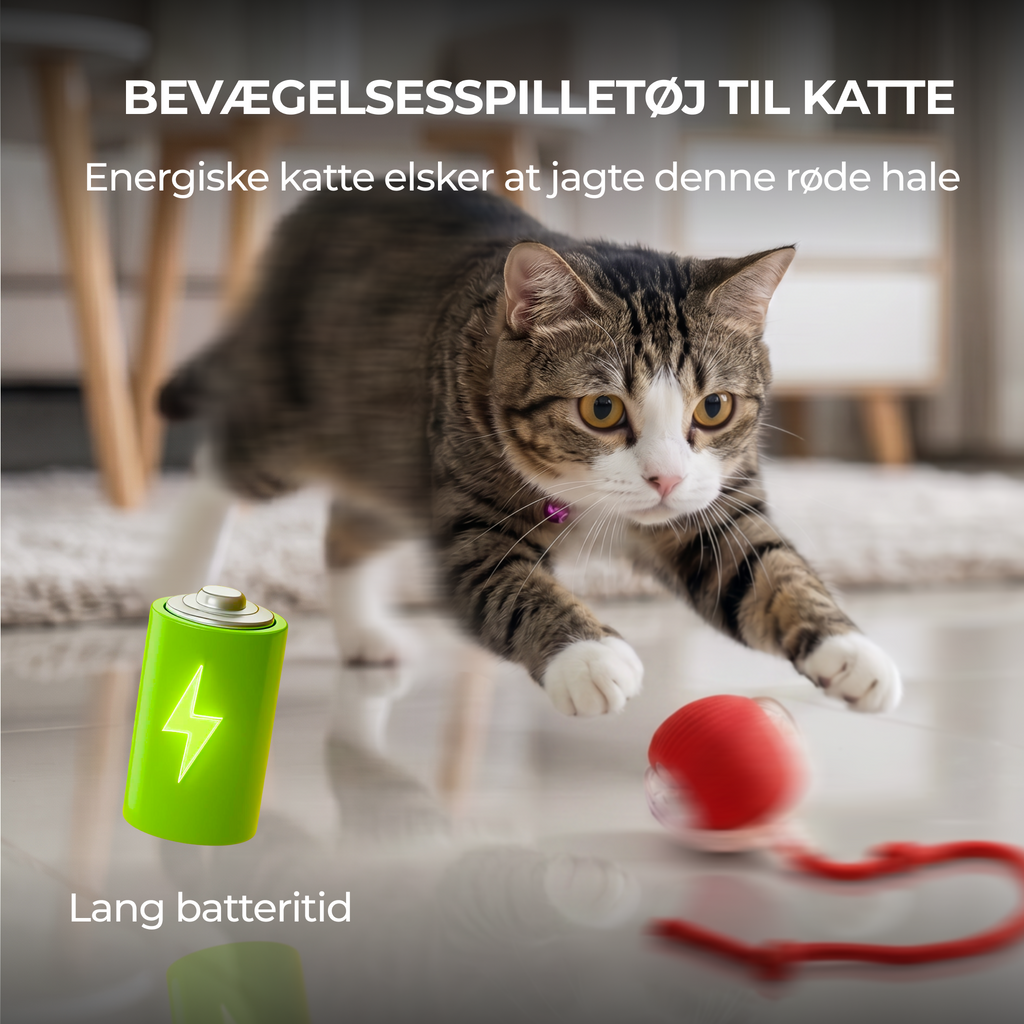 Selvspillende Rullende Kattebold