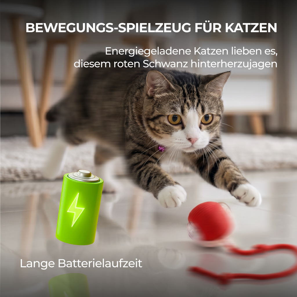 Selbstspielender rollender Katzenball