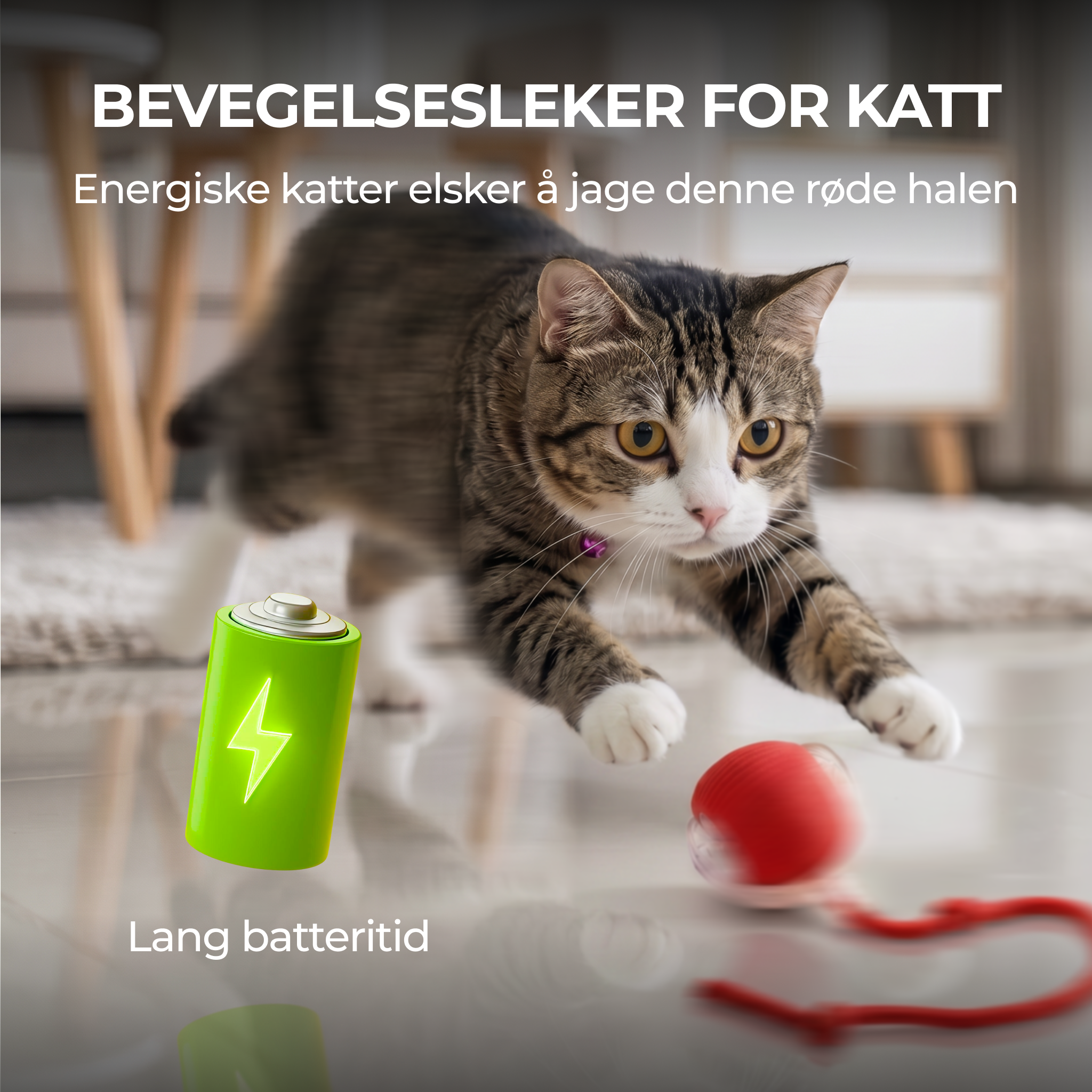 Selvspillende rullende katteleke (ball)