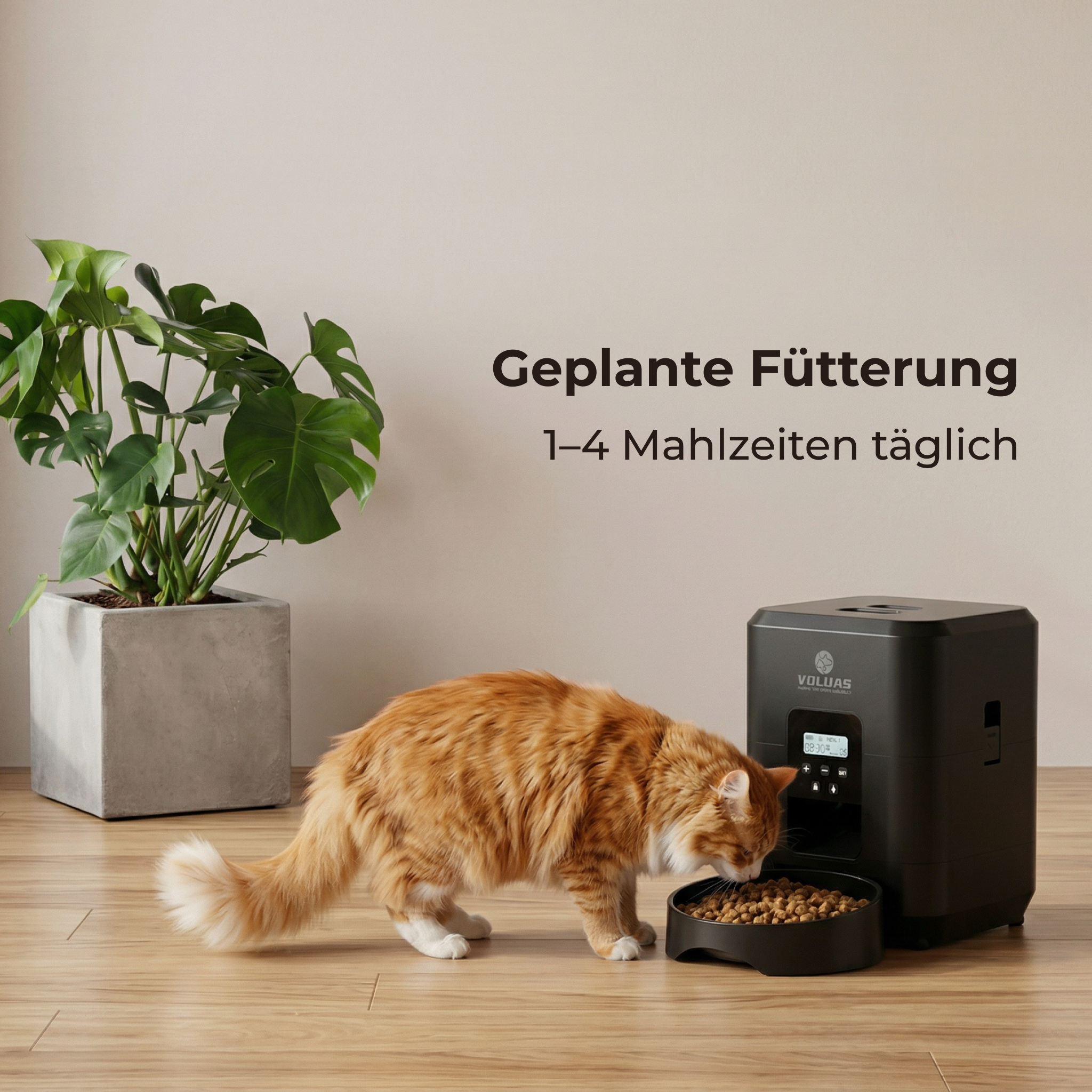 Automatischer Futterautomat für Haustiere