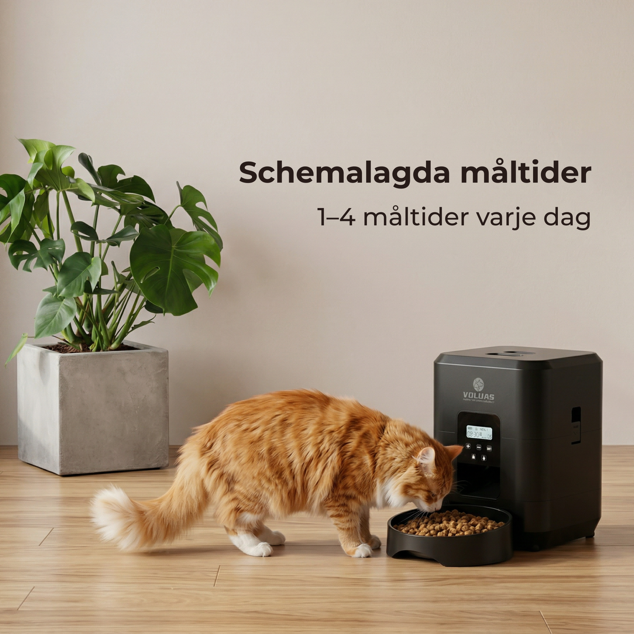 Automatic Pet Feeder (SWE)