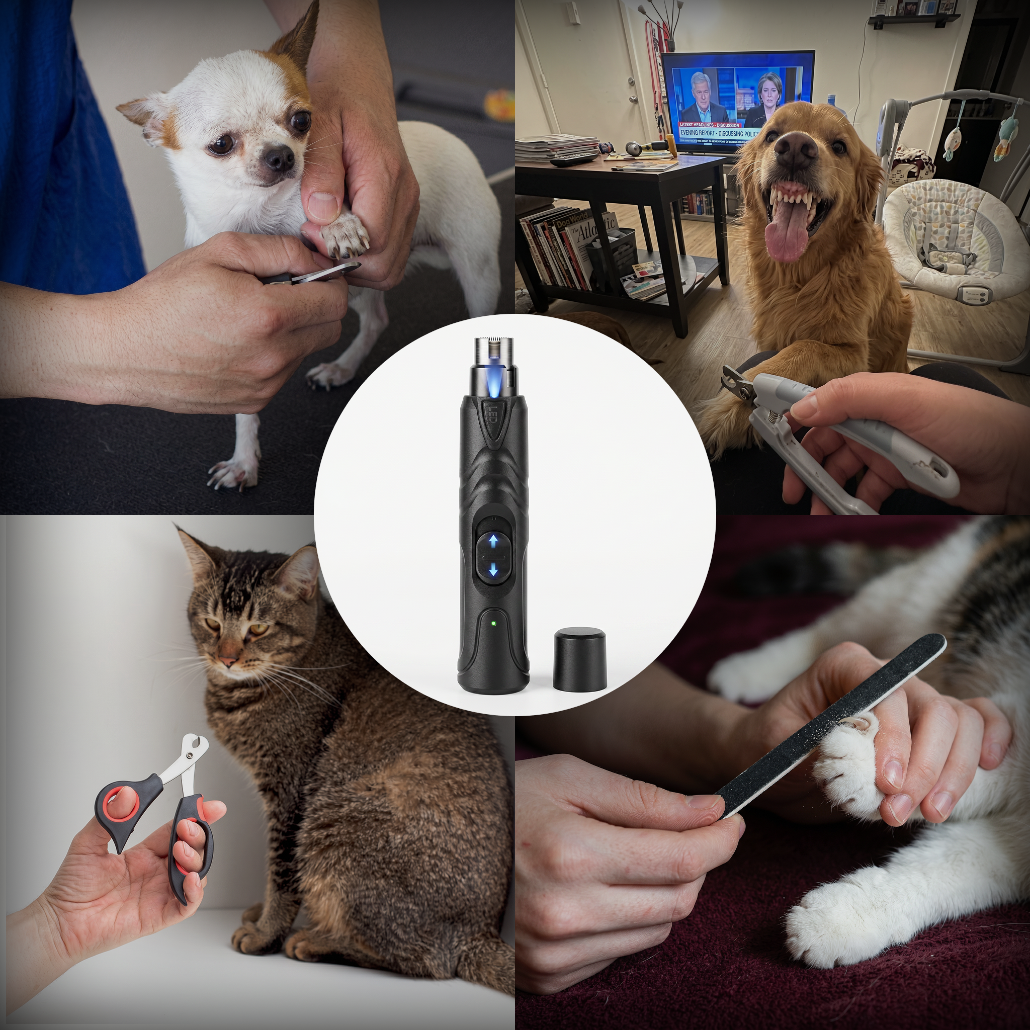 Rechargeable Lighted Dog Nail Grinder (SWE)