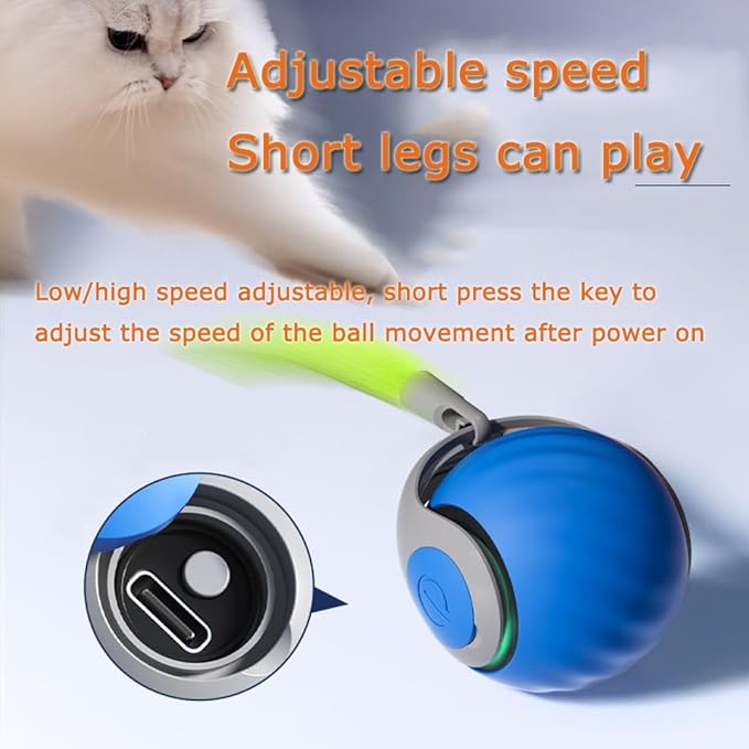 Interactive Auto Rolling Cat Toy Ball