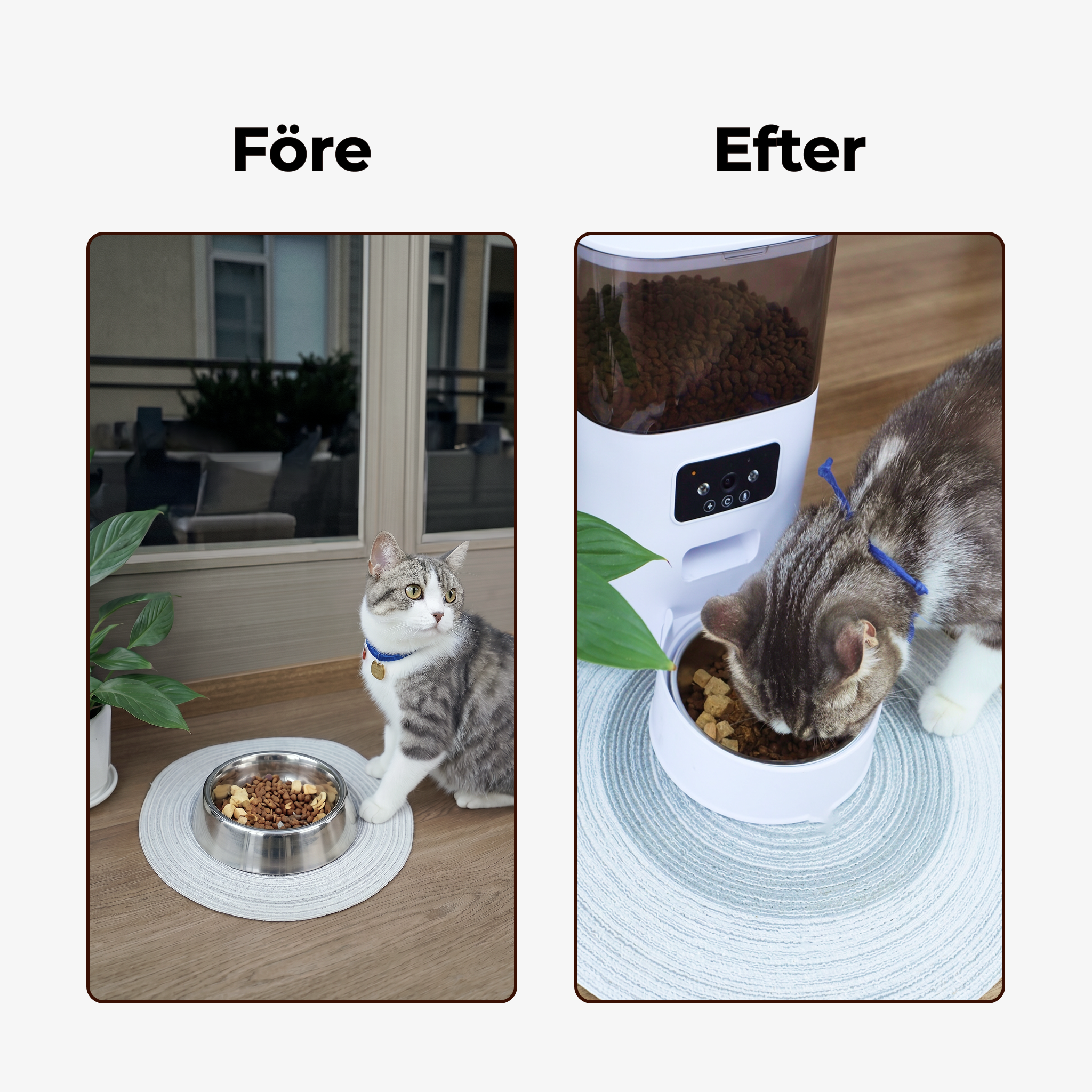 5L Automatic Pet Feeder with Camera (SWE)