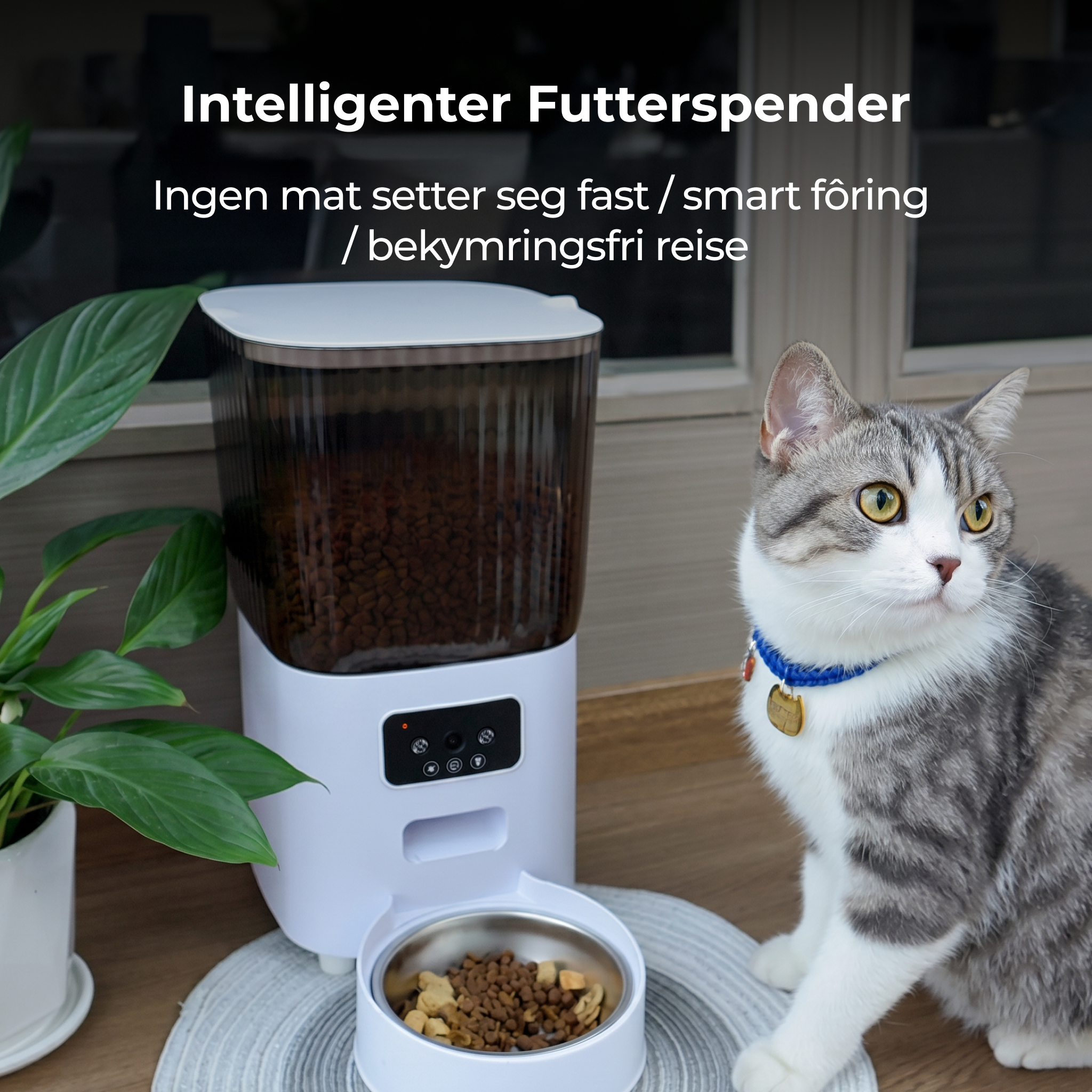 Automatischer 5L Futterautomat für Haustiere mit Kamera