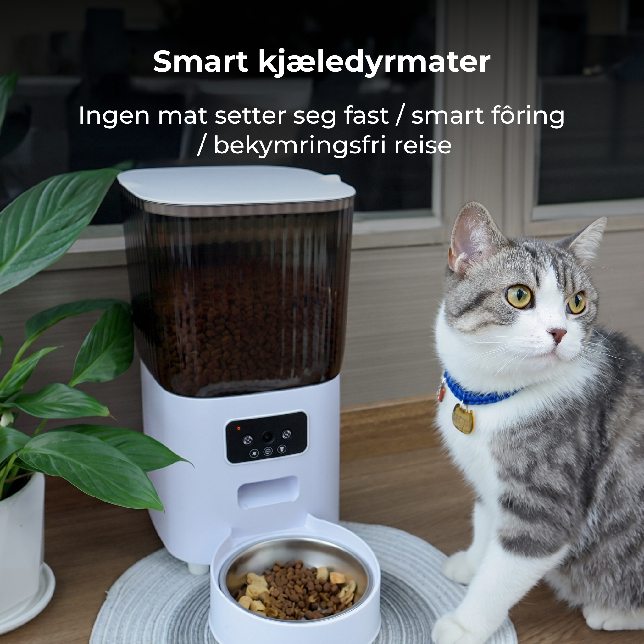 Automatisk kjæledyrmater på 5 liter med kamera (NOR)