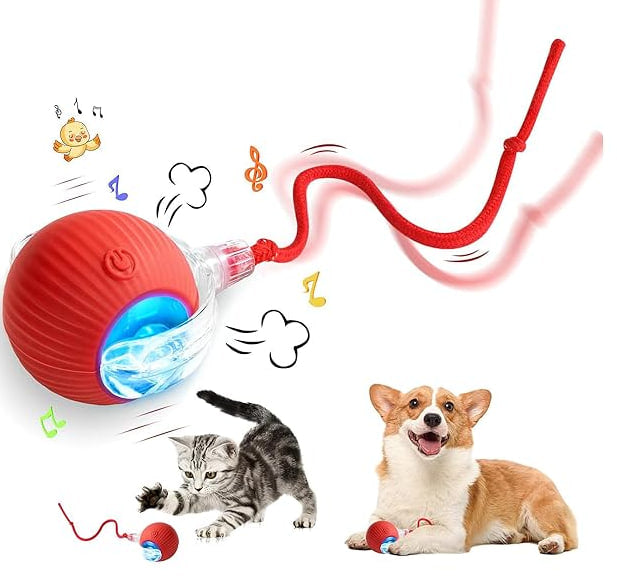Self-Playing Rolling Cat Ball