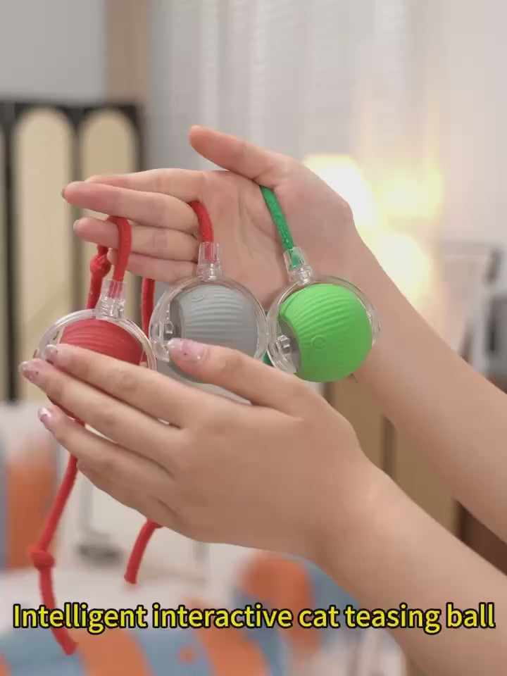 Selvspillende Rullende Kattebold